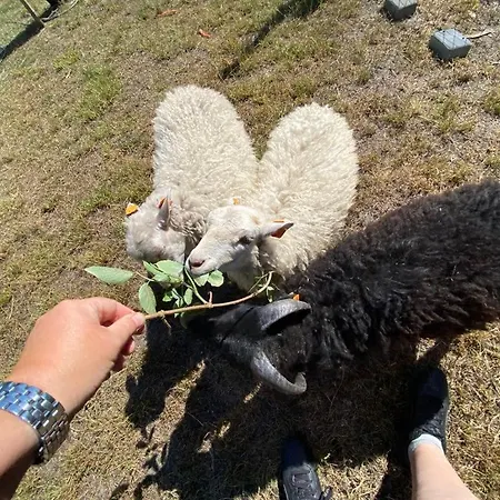 Zacisze U Rysia Bauernhof *