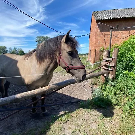Zacisze U Rysia * Brochów