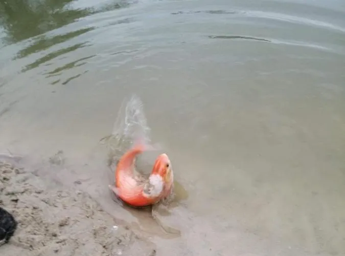 Zacisze U Rysia Gospodarstwo agroturystyczne Brochów