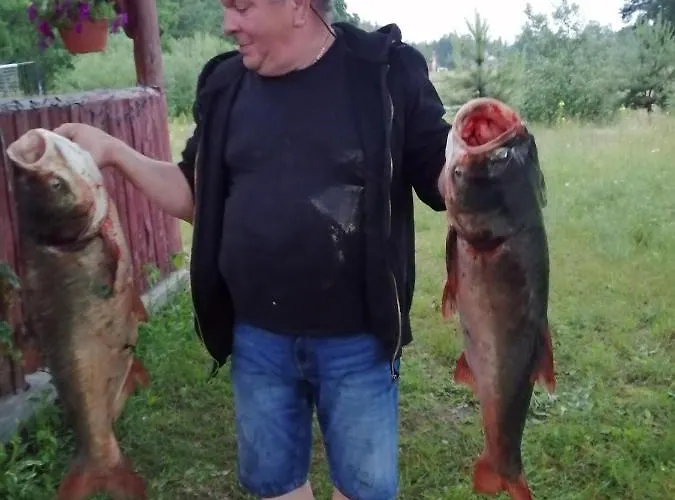 Gospodarstwo agroturystyczne Zacisze U Rysia *