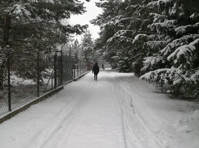 Zacisze U Rysia Gospodarstwo agroturystyczne Brochów
